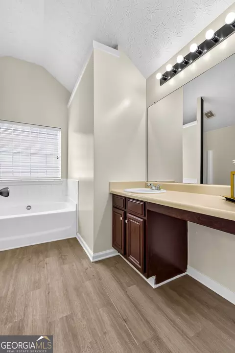 Bath - 11240 Aliyah Dr, Hampton, GA 30228 photo 3 of 5
