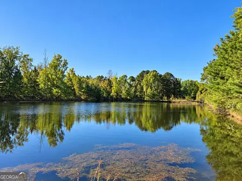 0 Martin Rd, Kite, GA 31049 photo 21