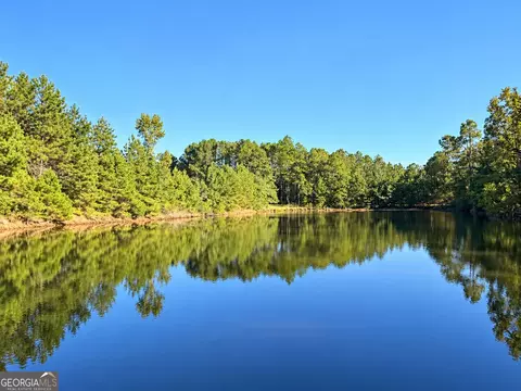 0 Martin Rd, Kite, GA 31049 photo 6
