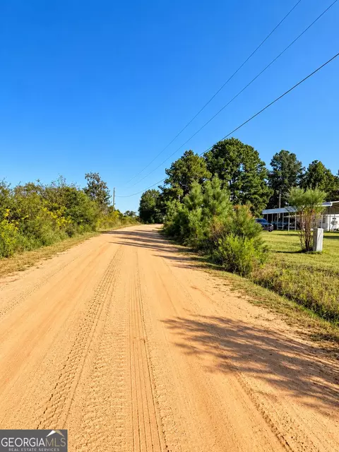 0 Martin Rd, Kite, GA 31049 photo 13