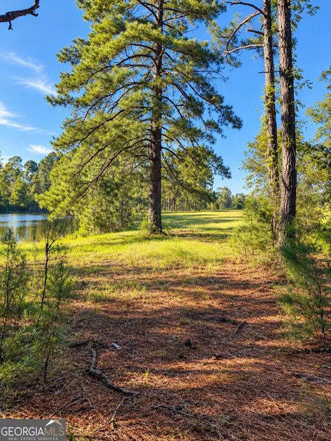0 Martin Rd, Kite, GA 31049 photo 4
