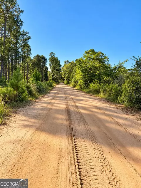 0 Martin Rd, Kite, GA 31049 photo 12
