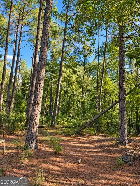 0 Martin Rd, Kite, GA 31049 photo 23