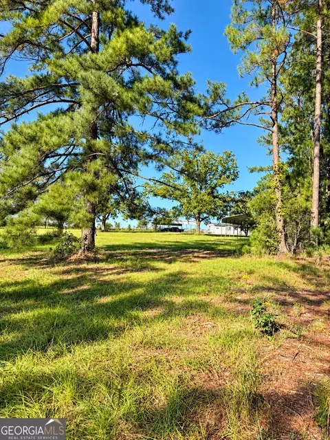 0 Martin Rd, Kite, GA 31049 photo 7