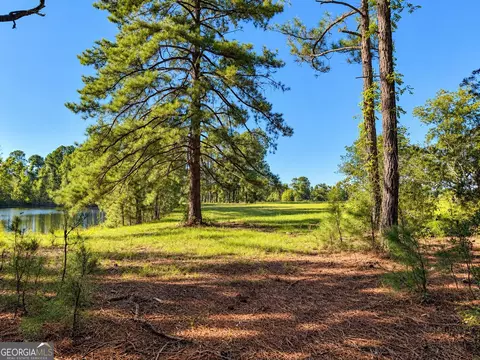 0 Martin Rd, Kite, GA 31049 photo 22