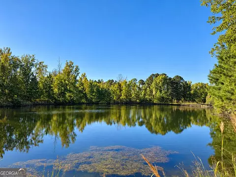 0 Martin Rd, Kite, GA 31049 photo 25