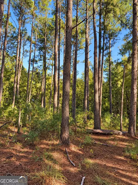 0 Martin Rd, Kite, GA 31049 photo 9