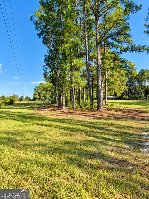 0 Martin Rd, Kite, GA 31049 photo 8