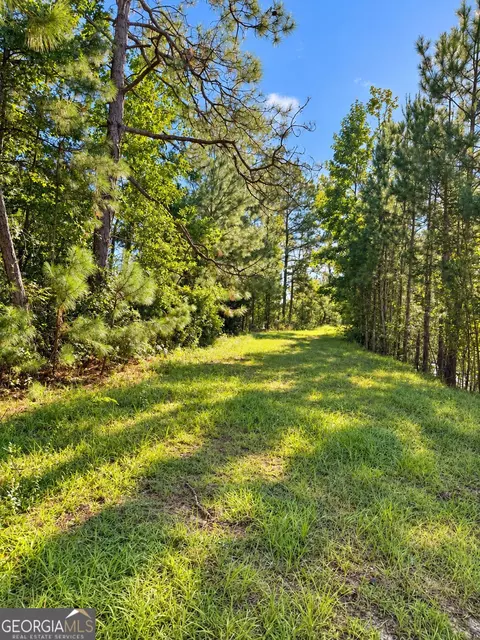 0 Martin Rd, Kite, GA 31049 photo 11