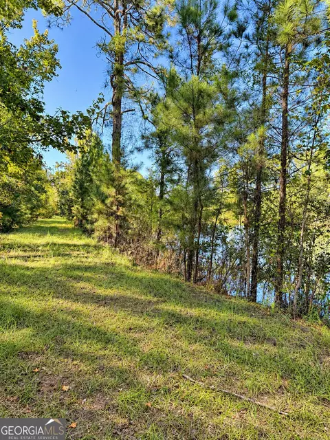 0 Martin Rd, Kite, GA 31049 photo 10