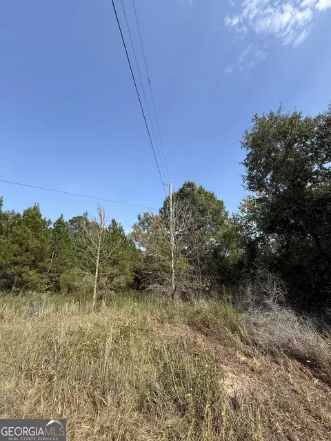 0 S Bartow Rd, Bartow, GA 30413 photo 5