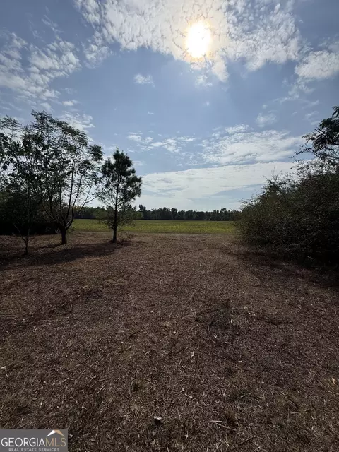 0 S Bartow Rd, Bartow, GA 30413 photo 2