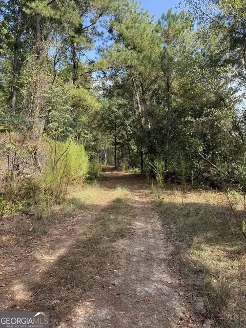0 S Bartow Rd, Bartow, GA 30413 photo 10