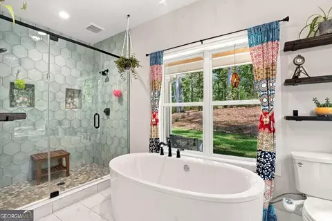 Bath - 1608 Thompson Ln, Jasper, GA 30143 photo 3 of 8