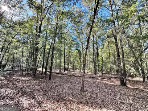 1 Kitchens Rd, Macon, GA 31217 photo 7