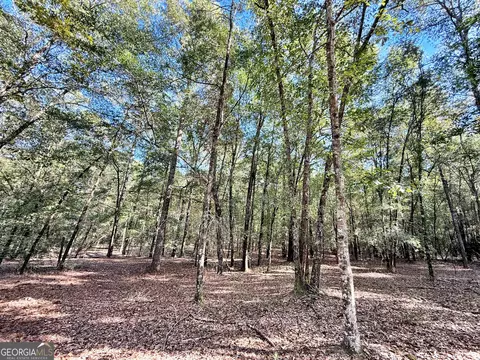1 Kitchens Rd, Macon, GA 31217 photo 22