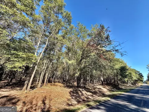 1 Kitchens Rd, Macon, GA 31217 photo 28
