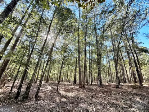 1 Kitchens Rd, Macon, GA 31217 photo 10