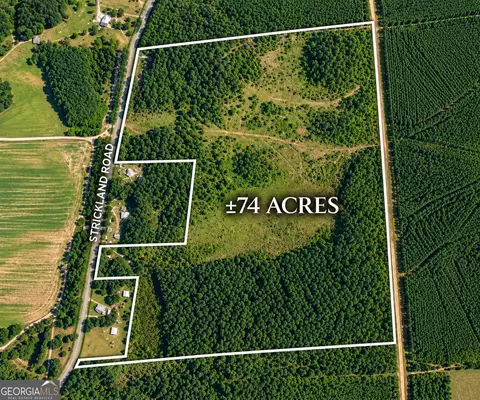 0 Strickland Rd, Lake Park, GA 31636