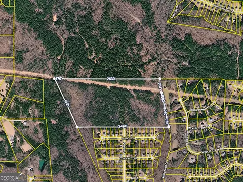 162 Hwy 162, Newton, GA 30016 photo 2