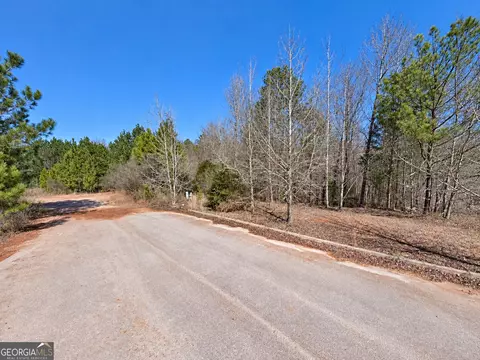 162 Hwy 162, Newton, GA 30016 photo 4