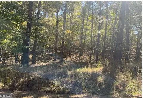 lot246 Sunflower Ct, Sparta, GA 31087