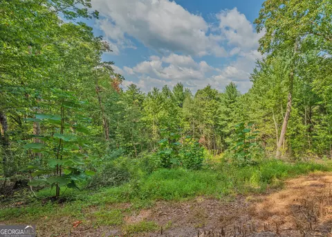 Other - 315 Skyview Cir, Clarkesville, GA 30523 photo 2 of 14