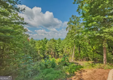 Exterior - 315 Skyview Cir, Clarkesville, GA 30523 photo 9 of 11