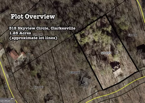 View/Area - 315 Skyview Cir, Clarkesville, GA 30523 photo 6 of 8