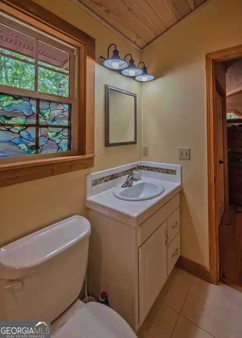 Bath - 315 Skyview Cir, Clarkesville, GA 30523 photo 4 of 6