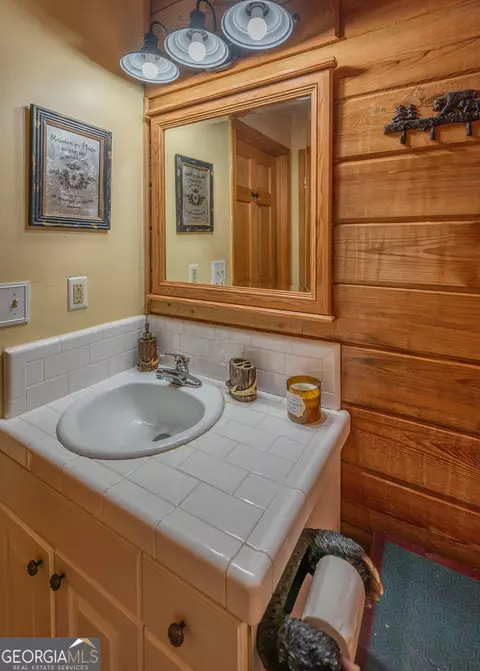 Bath - 315 Skyview Cir, Clarkesville, GA 30523 photo 1 of 6