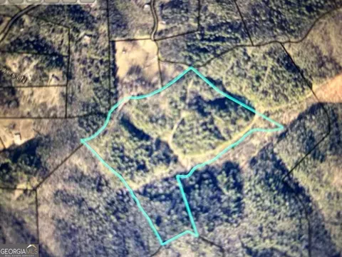 40 Acre Valley Lake Rd, Mineral Bluff, GA 30559