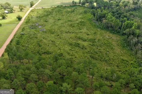 0 Watson Hendricks Rds #TRACT 2, Metter, GA 30439 photo 6