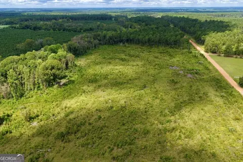 0 Watson Hendricks Rds #TRACT 2, Metter, GA 30439 photo 7