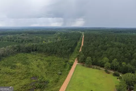 0 Watson Hendricks Rds #TRACT 2, Metter, GA 30439 photo 8