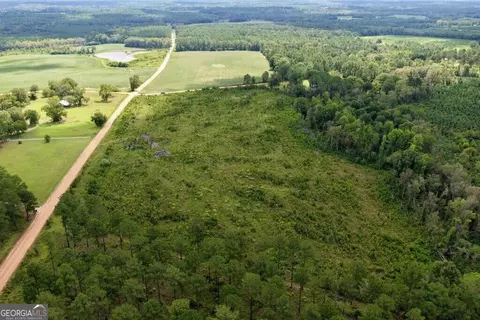 0 Watson Hendricks Rds #TRACT 2, Metter, GA 30439 photo 5