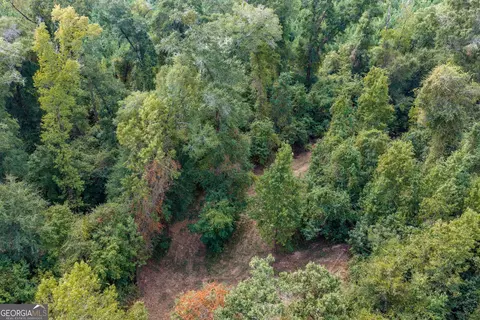 0 Old Us 84, Gordon, AL 36343 photo 12