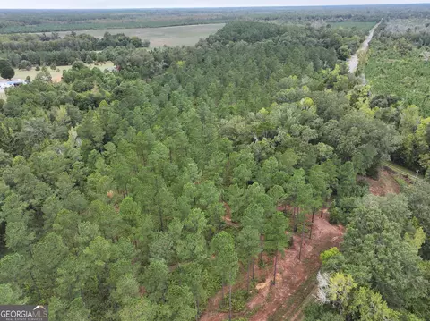 0 Old Us 84, Gordon, AL 36343 photo 22