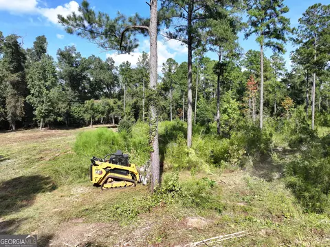 0 Old Us 84, Gordon, AL 36343 photo 2
