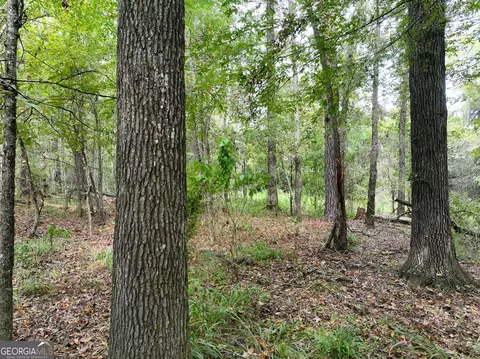 0 Old Us 84, Gordon, AL 36343 photo 31