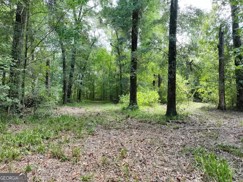 0 Old Us 84, Gordon, AL 36343 photo 23