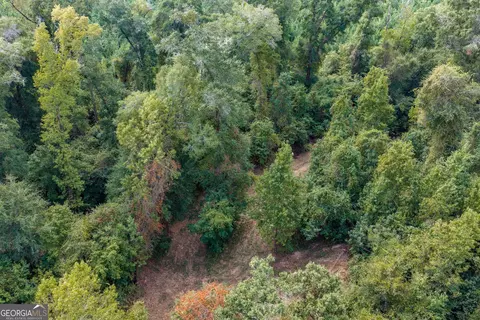 0 Old Us 84, Gordon, AL 36343 photo 41
