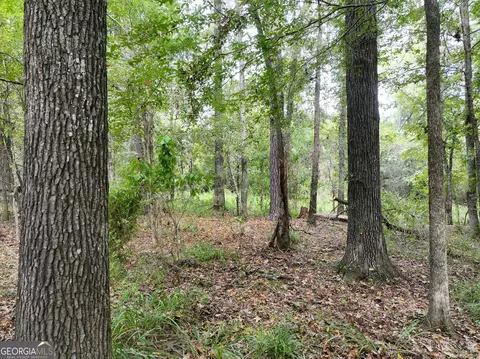 0 Old Us 84, Gordon, AL 36343 photo 11