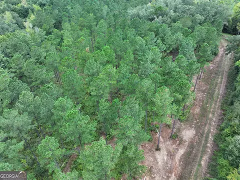0 Old Us 84, Gordon, AL 36343 photo 30