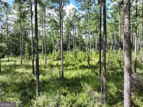 0 Old Us 84, Gordon, AL 36343 photo 3