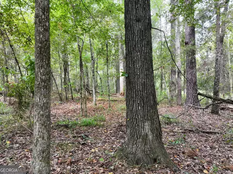 0 Old Us 84, Gordon, AL 36343 photo 35