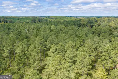 0 Old Us 84, Gordon, AL 36343 photo 14