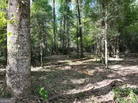0 Old Us 84, Gordon, AL 36343 photo 19