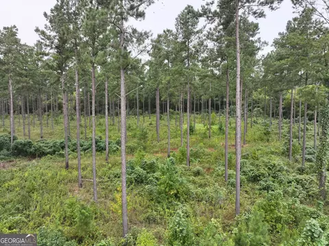 0 Old Us 84, Gordon, AL 36343 photo 29
