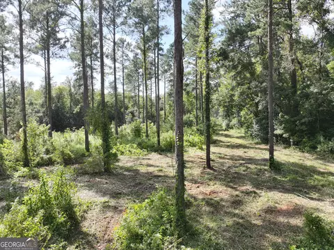 0 Old Us 84, Gordon, AL 36343 photo 9